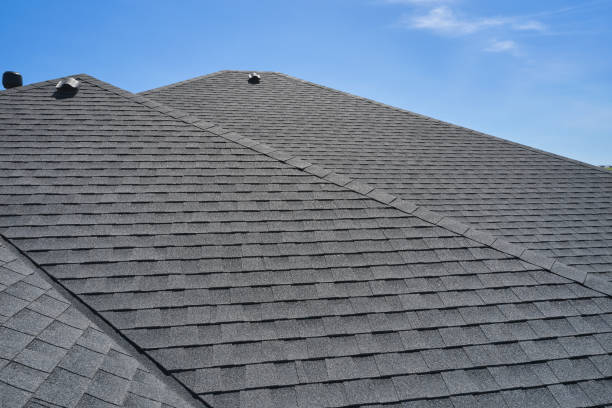 Best Roof Leak Repair  in Carlisle, KY